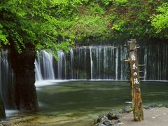 新緑の白糸の滝