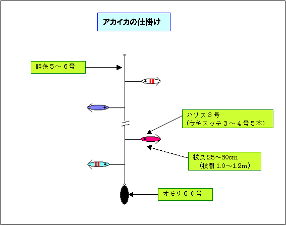 アカイカ仕掛け 釣り船宿 清勝丸 千葉県飯岡港