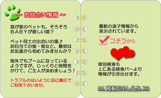 お見合い 出会い 交配 交尾 犬 猫 ペット わんにゃん情報局